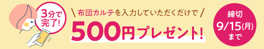 ĥƤϤƤ500ߥץ쥼